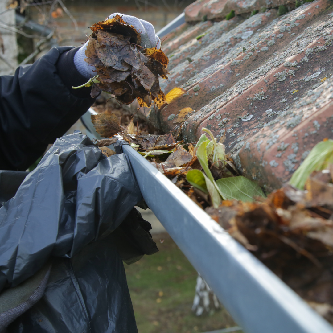 Gutter Cleaning | Gutter Cleaning Johannesburg | Roof Gutter Cleaning